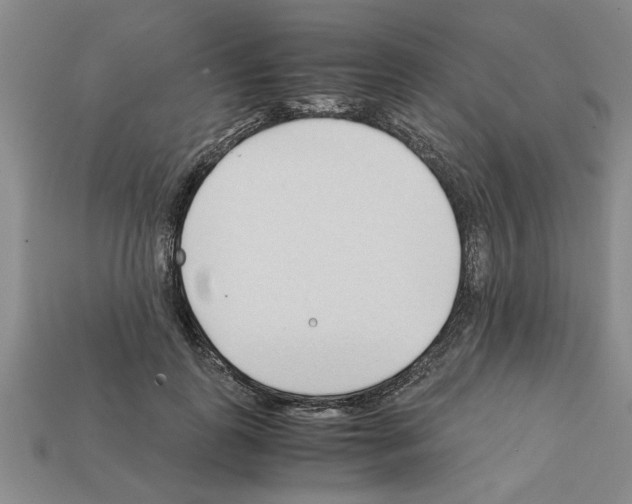 X0000111950747200909071319
