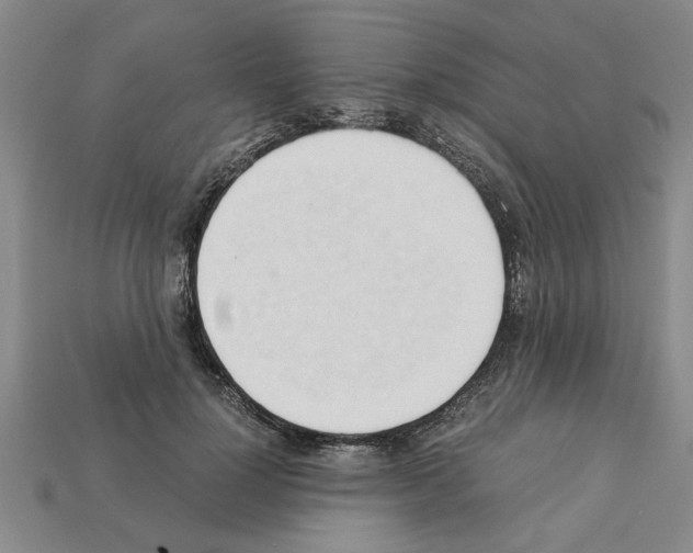 X0000111950748200909071319