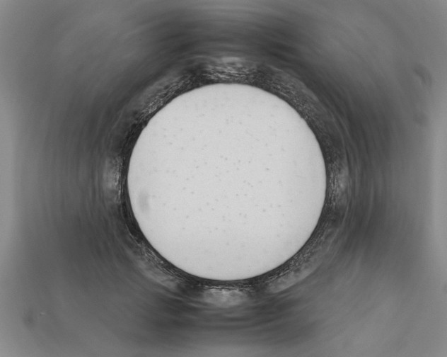 X0000111950749200909071319