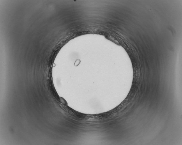 X0000111950750200909071319