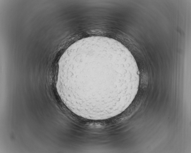 X0000111950751200909071319