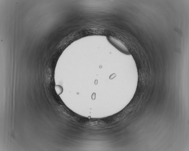 X0000111950752200909071319