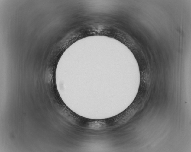 X0000111950754200909071319