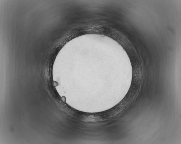 X0000111950755200909071319