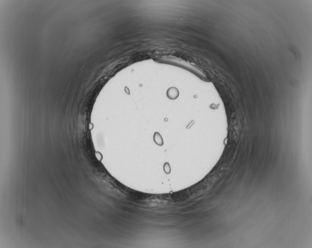 X0000111950756200909071319