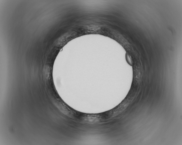 X0000111950758200909071319