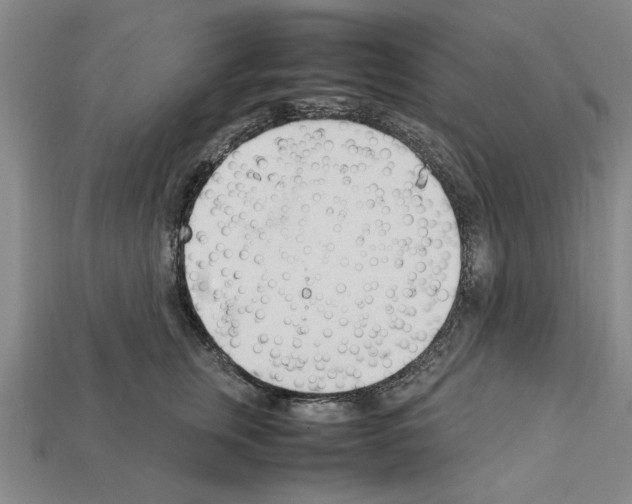 X0000111950759200909071319