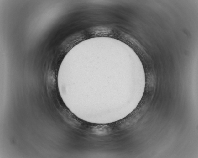 X0000111950761200909071319