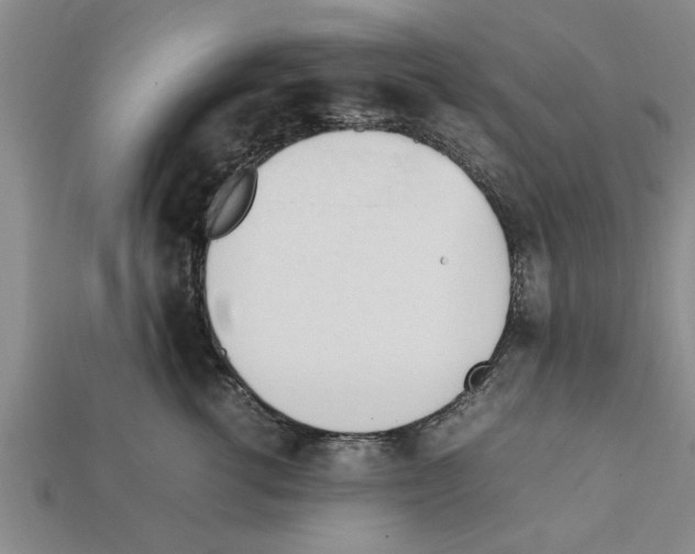 X0000111950762200909071319