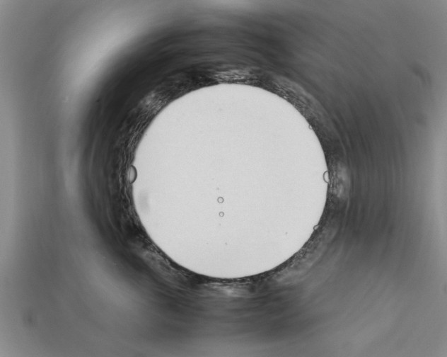 X0000111950763200909071320