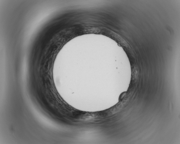 X0000111950764200909071320