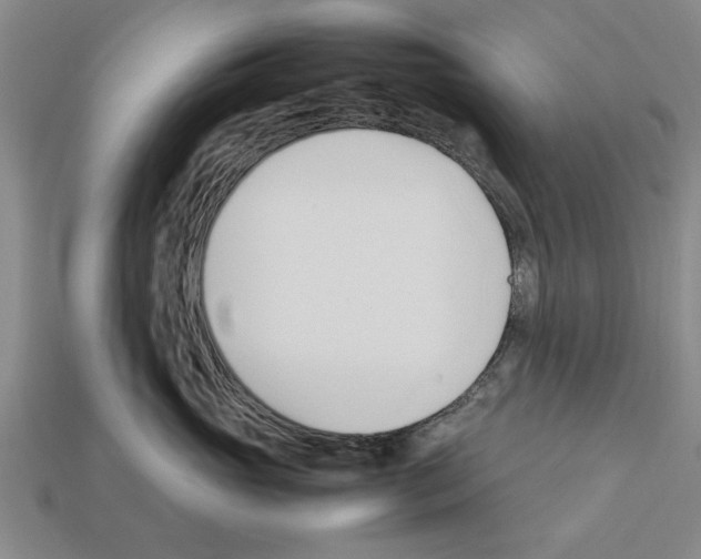 X0000111950765200909071320