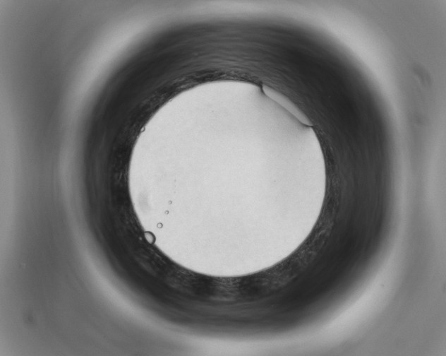 X0000111950766200909071320