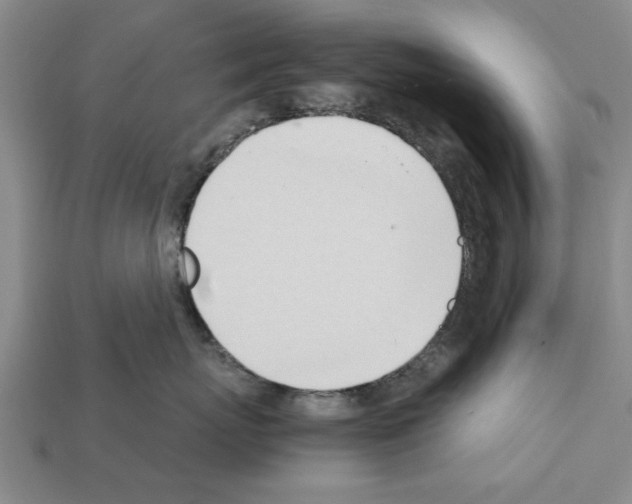 X0000111950767200909071320