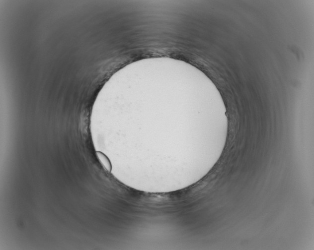 X0000111950768200909071320