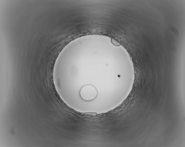 X0000111950769200909071319