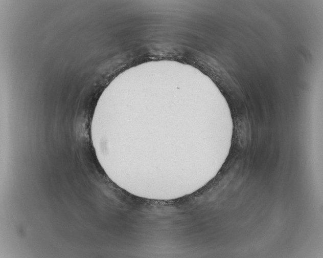 X0000111950770200909071319