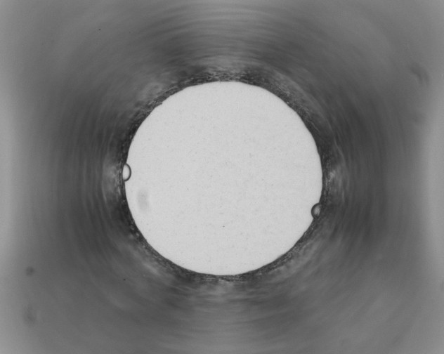 X0000111950772200909071319