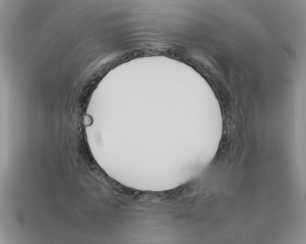 X0000111950773200909071319
