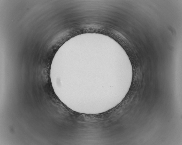 X0000111950774200909071319