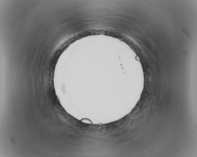 X0000111950775200909071319