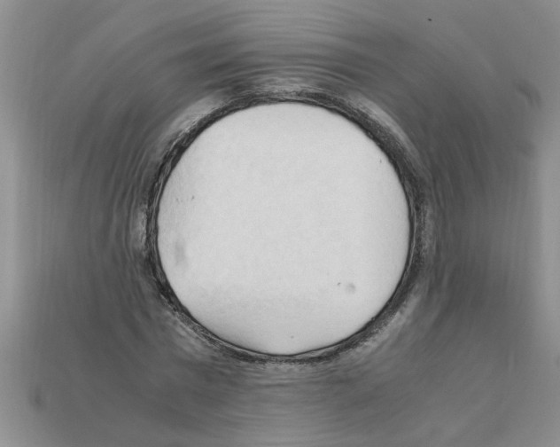 X0000111950777200909071319