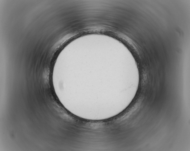X0000111950778200909071319