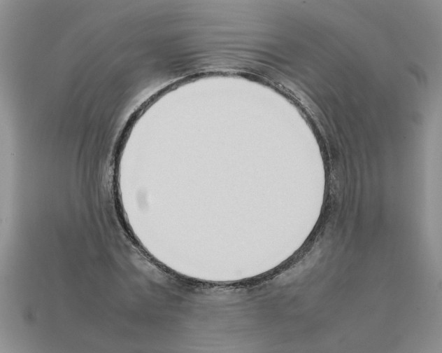 X0000111950779200909071319