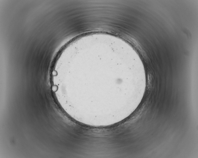 X0000111950780200909071319