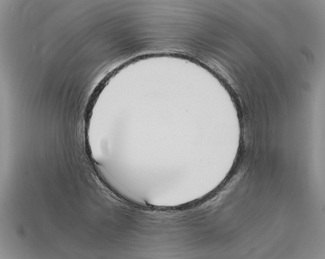 X0000111950781200909071319