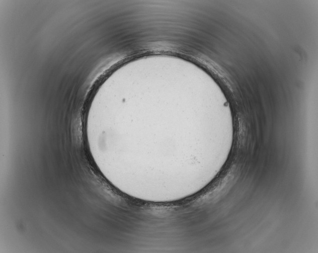 X0000111950782200909071319