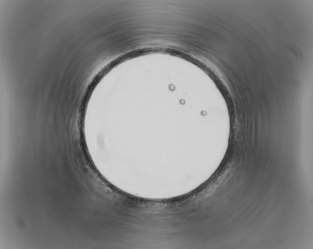 X0000111950783200909071319