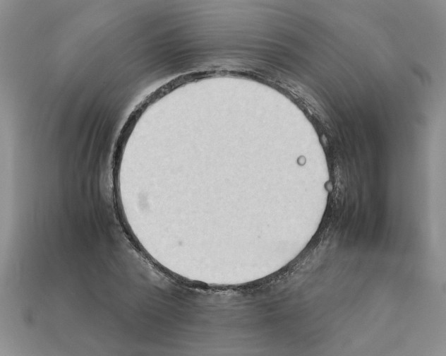 X0000111950784200909071319