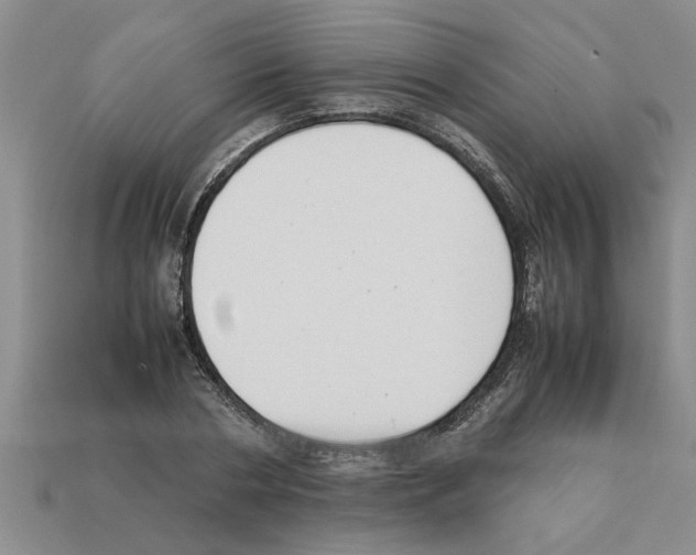X0000111950786200909071319
