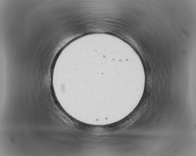 X0000111950787200909071319