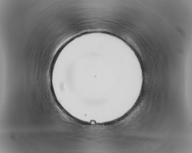 X0000111950789200909071319