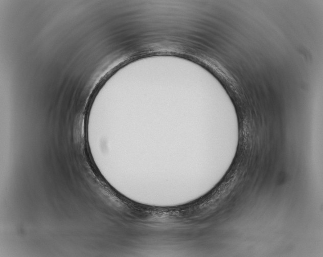 X0000111950790200909071319