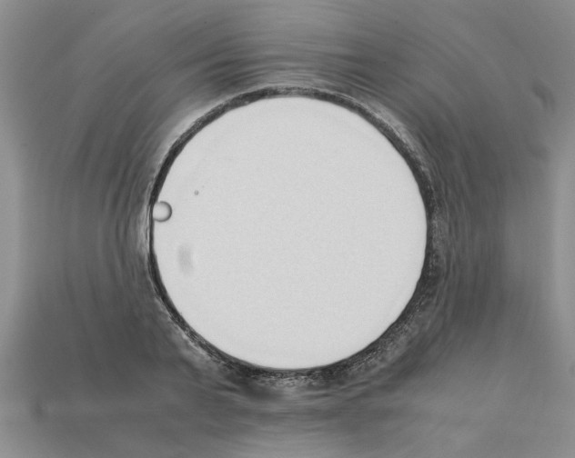 X0000111950791200909071319