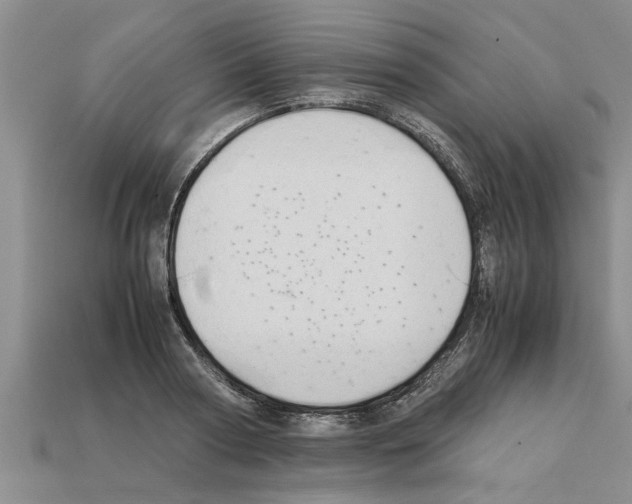 X0000111950794200909071319