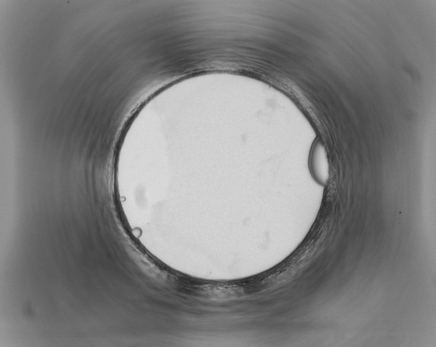 X0000111950795200909071319