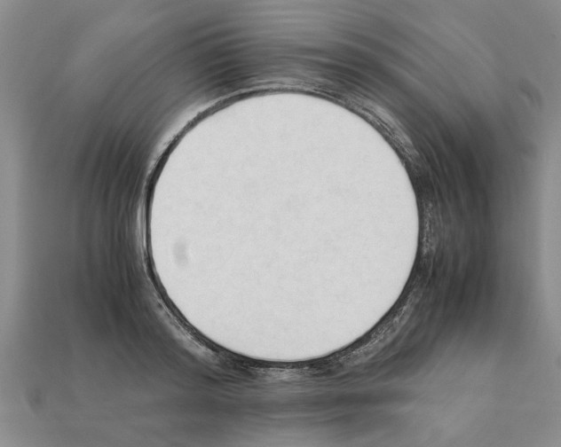 X0000111950796200909071319