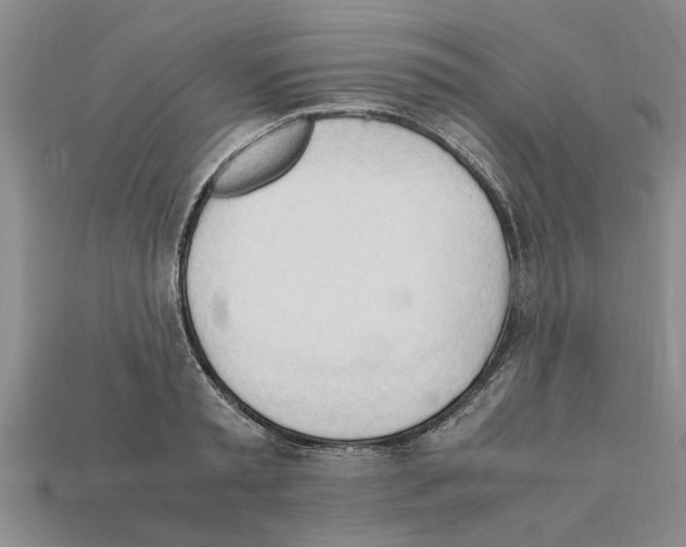 X0000111950797200909071319