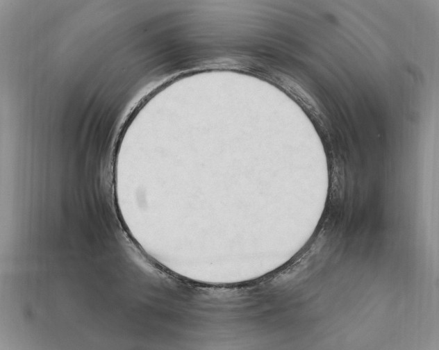 X0000111950800200909071319