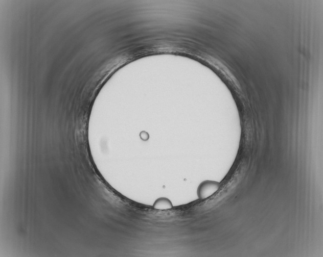 X0000111950801200909071319