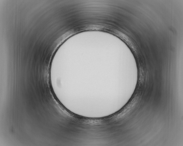 X0000111950802200909071319