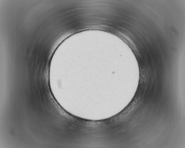 X0000111950804200909071319