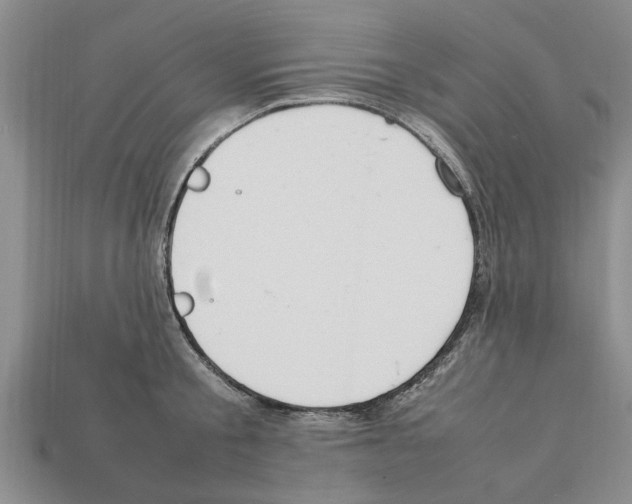 X0000111950805200909071318
