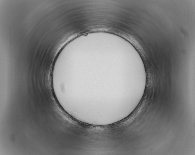 X0000111950806200909071318