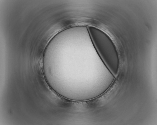 X0000111950809200909071318