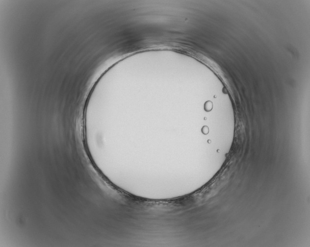 X0000111950811200909071318